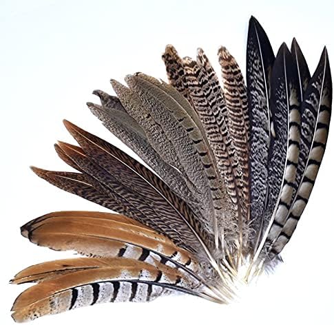 10kom prirodni fazan perje za zanate 15 - 20cm pero Decor Party nakit rukotvorina dodatna oprema Plumes Plume