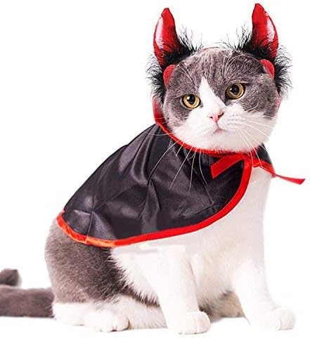 Legendog Cat kostim Halloween PET kostimi crveni baršun kućni ljubimci sa šeširom za male pse i mačke