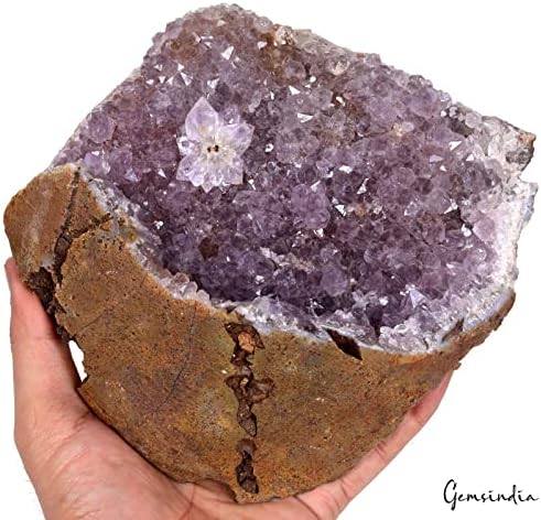Gemsindia 1,9 kilogram prirodnog superiornog rock & fossil Amethyst Geode Crystal Mineral Gemstone