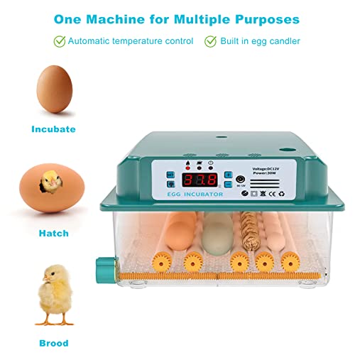 16 inkubatora za jaja za Valjenje jaja, jaja za automatsko okretanje, dvostruka garancija snage, inkubator