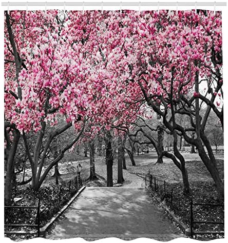 Ambesonne NYC zavjesa za tuširanje, cvjetovi u centralnom parku Landscape Cherry Trees Forest Proljetna sezona