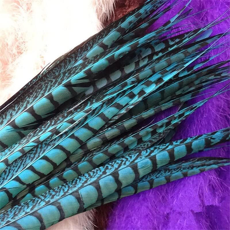 50pcs/Lot u boji Lady Amherst fazan rep perje za zanate dugo dekor DIY Karneval Vjenčanje Pribor dekoracija