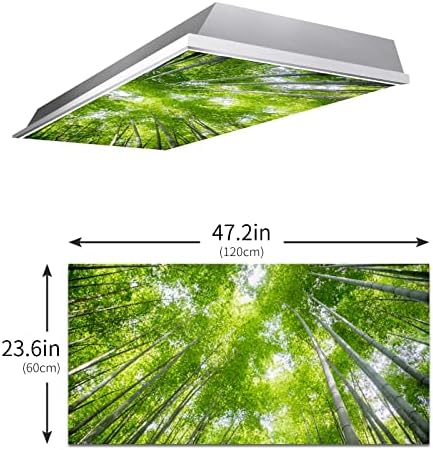 Mchuang bambusova šuma 2 paketa Fleksibilno fluorescentno svjetlo Cover Filmovi krovni plafon za školsku učionicu