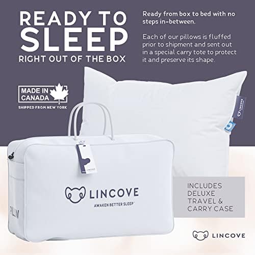 Lincove potpis prirodni kanadski bijeli luksuzni jastuk za spavanje - 800 Napune, 500 Broj