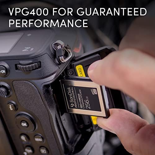 SanDisk Professional 256GB PRO-kino CFexpress Vpg400 tip B-kartica kamere visokih performansi - SDPCVN4-256G-GNANN,