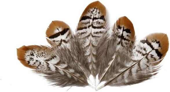 Zamihalaa-Reeves Venery fazan rep perje za igale 5 - 15cm mali perje za zanate ukras Plumes Plumas-200