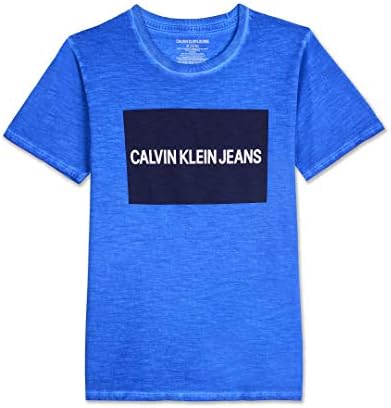 Calvin Klein Boys ' Institution Logo Crew Neck Tee Shirt