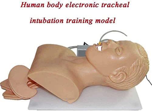Nihe trening manikin, intubacija manikin za medicinsku edukativnu pomoć u nastavi Elektronski model nastavnog