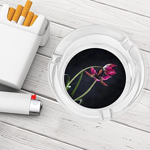 Dvije tulipane sa kapima rose na tamnim staklenim pepelom za cigarete i cigare drhtavicu nosača za ladicu