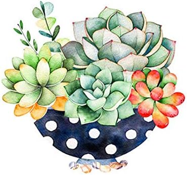 QGHZSCS boja po brojevima digitalna slika DIY slika cvijeće Art kaktus ručno rađena dekoracija Doma A2