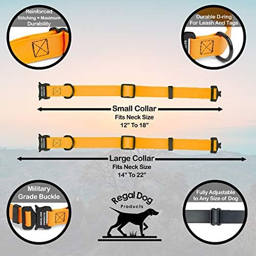 Regal Proizvodi za pse po mjeri učvršćeni narančasti ovratnik za pse sa vojnim kopčom velike čvrstoće