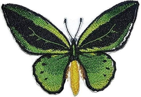 Prilagođeni i jedinstveni nevjerojatni šareni leptiri [uobičajeno zeleno ptica] vezeno željezo na / sew flaster