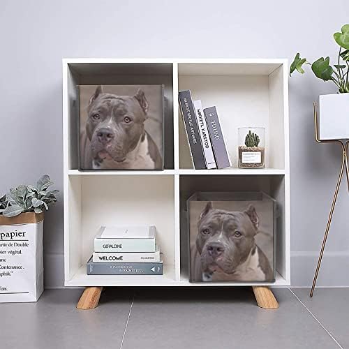 Pitbull pas platneni skraktivno skladištenje kocke Organizator kocke s ručkama za kućni uredski