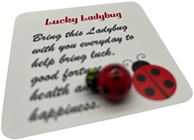 Westmon radi Lucky Ladybug Legend džep šarm Podesite malo sreće staklenim tokenom sa pričama o priču