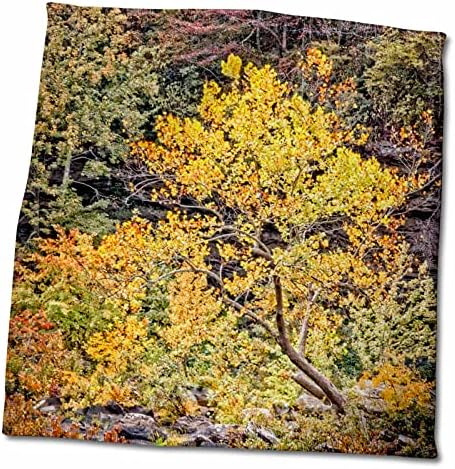 3Droze boje jeseni na malom reku kanjonu Nacionalni rezervat - Ručnici