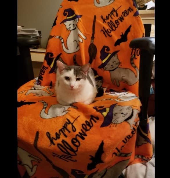 Décor & Još sretnih Halloween MicroPlush baca za bacanje - Sablasne mačke
