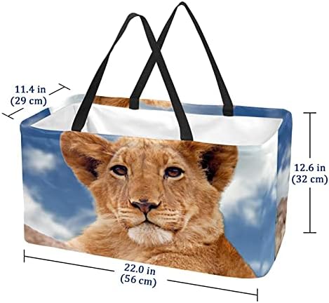 Lorvies životinjski lav spremište bin košara - veliki pravokutnik za odjeću, igračke, cipele i izlet