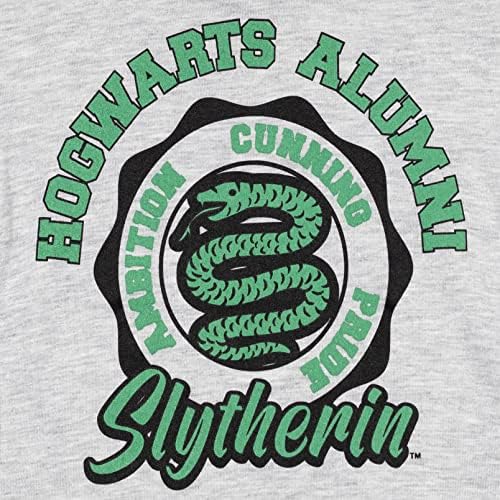 Harry Potter Gryffindor Slyttherin Ravenclaw Huffluff Fleece pulover Hoodie Toddler do velikog djeteta