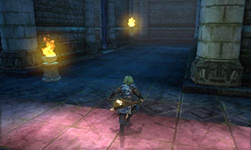 Odjeci vatrenog amblema: sjene Valentia-Nintendo 3DS standardno izdanje
