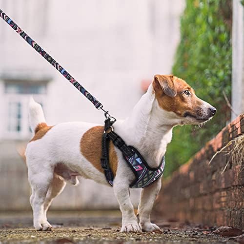 SXNBH modni ispisani najlonski pseći jarlans reflektivni ne povlačenje psećih kabelskih rezervacija