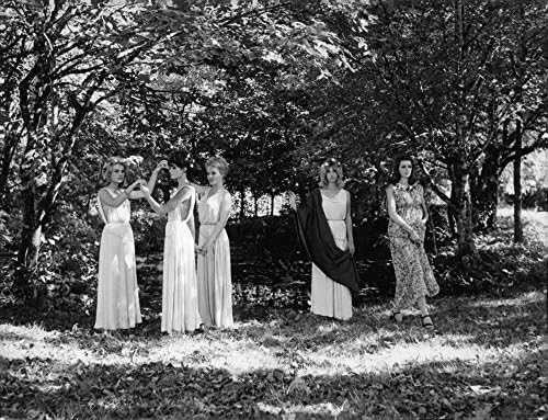 Vintage fotografija scene filmova pet žena koja stoji ispod drveća.- novembar 1962