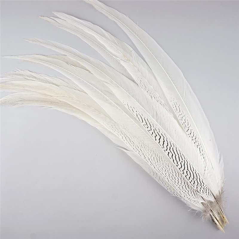 4-32 inča srebrnog fazanskog perja za dekoraciju karnevalski dodaci Lady Amherst bijeli srebrni pero Decor