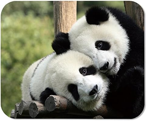 Životinje prirode Panda medvjedi sisari Prilagođeni pravokutnik Mousepad, igra za igre miša miša