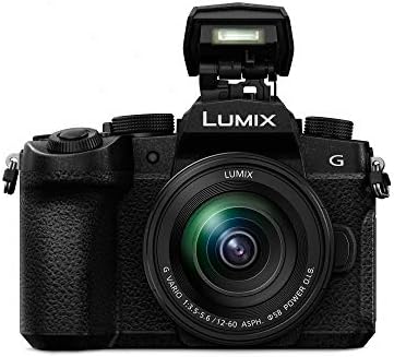 Panasonic LUMIX G95 20.3 MP paket kamera bez ogledala sa mikrofonom i ruksakom za fotografije i Video