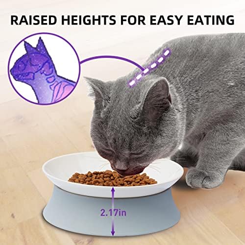 Simmoude povišene posude za hranu i vodu, nagnuta zdjela za povišena mačka za unutarnje mačke, 2 mačka za