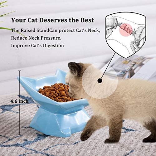 Jemirry Keramic CAT-ova zdjelica protiv povraćanja, uzdignute posude za mačke sa nagibom od 15 °, neklizajuća