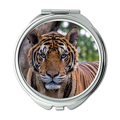 Ogledalo, ogledalo za šminkanje, fotografija životinja životinja velika mačka, džepno ogledalo, prijenosno ogledalo