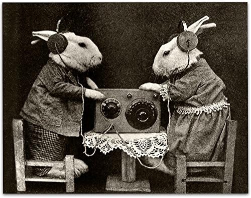 Bizarre Strange Zečići slušaju Radio sa slušalicama - 11x14 Neuramljeni Print - savršen studijski dekor ili