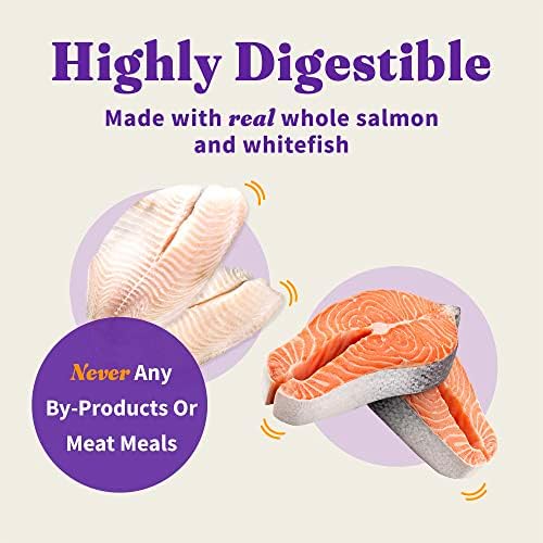 Halo® paket za sortu morskih plodova za mačke: pašteta od bijele ribe bez žitarica, pašteta od lososa,