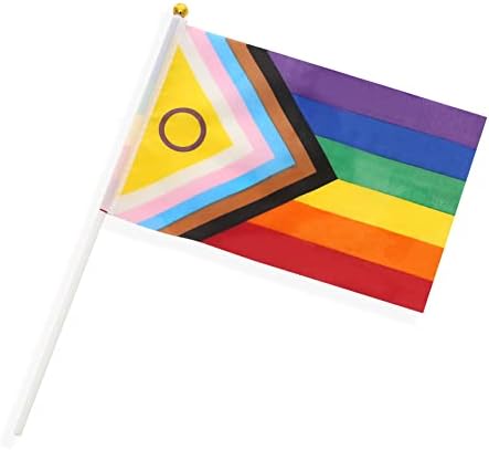 50 pakovanje New Intersex Progress Rainbow Pomodna zastava Mala mini zastava zastava zastava zastava