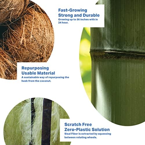 Biljka i solna bambusova četkica za suđe | Održivi poklon | Zero plastika | 4 komada zamjenjiva prirodna