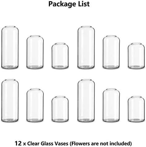 Glass Bud vaze za cvijeće-Hewory Blowed moderne male staklene vaze za središnje dijelove Set od 12,