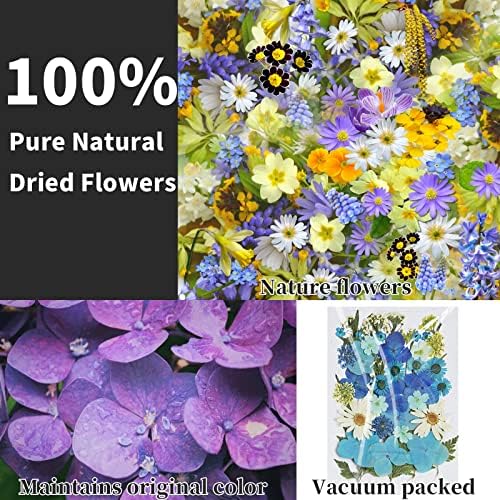 Sanvelife prešani lišće i sušene cvijeće za smole, 166pcs Prirodni cvjetovi i listovi komprimirani, vakuumski