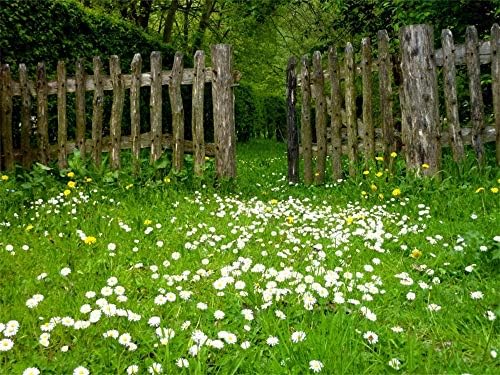 Aofoto 5x3ft Spring Garden tratinčica Flower Backdrop Rustikalna drvena ograda ljetna livada fotografija pozadina