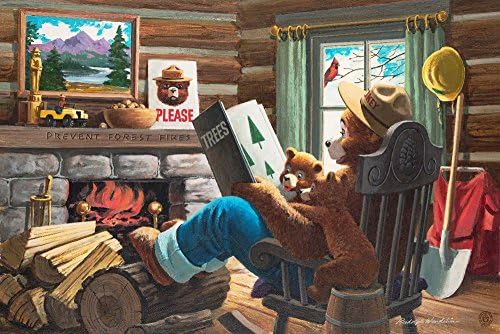 Lantern Press Smokey Bear, knjiga za Cubse, starinski Poster