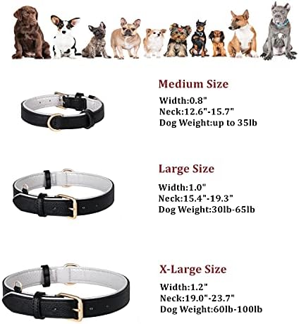 Poohoo originalni kožni ovratnik za pse meka i prozračna podstavljena | Metalni hardver Čvrsti | Teška | PISM PISM PING | za srednje velike pse velike x