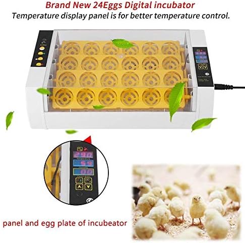 JF-Xuan inkubator za jaja automatsko okretanje inkubator za jaja 24 jaja Digitalni pileći šešir za pileće patke