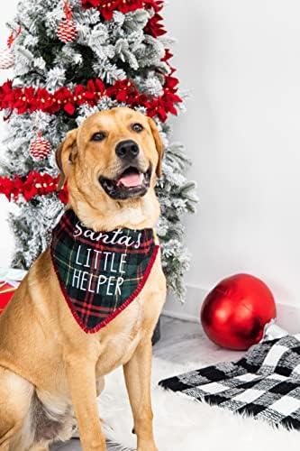 Pearhead Red Plaid Holiday Bowtie, Dog Christmas Bowtie, Holiday Pas Bowtie, Savršena čarapa za pasice, Odjeća za božićnu temu, dodatna mala / mala