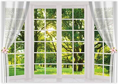 Allenjoy 10x8ft opružni prozor krajolik fotografija tkanina pozadina bijeli prozori cvjetna Zelena