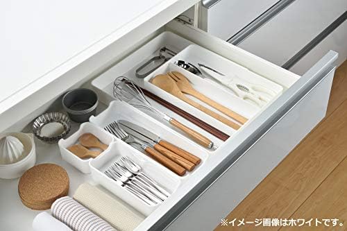 Takagi Smart Organizer Tray, L, Clear Made in Japan