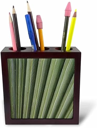 3drose Close Up Photographic Abstract zelenih držača olovki sa lepezastim dlanovima