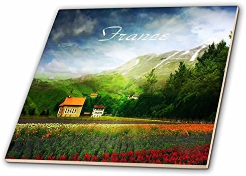 3drose Florene Francuska-slika egzotičnog polja cvijeća planine i Francuske crkve-4 inčna keramička pločica
