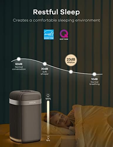 Pročistači zraka za spavaću sobu: Welov H13 True HEPA Pročistači zraka za kućne ljubimce uklanjanje