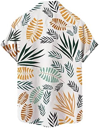 Bmisegm ljetne vježbe majice za muškarce muški ljetni odmor turizam plaža modni Trend slobodno vrijeme 3d digitalna pidžama kratka