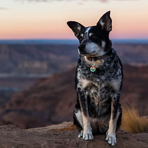 KEKID QR Code pas, pas za pse personalizirani za kućne ljubimce, prilagođene oznake psa, ID-ove pasa Oznake Personalizirane mačke ID-a za kućne ljubimce s besplatnom mrežnom kućnom ljubimcu, modificiranim, anti-izgubljenim