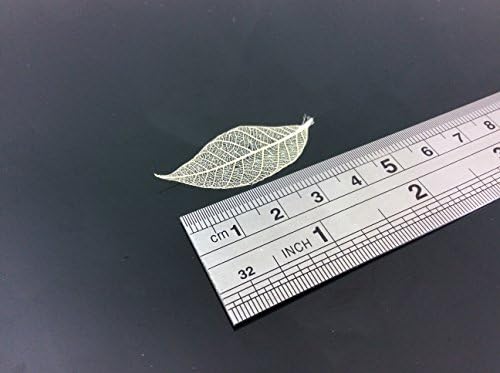 Kostur lišće 1 inčni 100 kom. Prirodna guma od listova cvjetara Cvjetna scrapska zanata